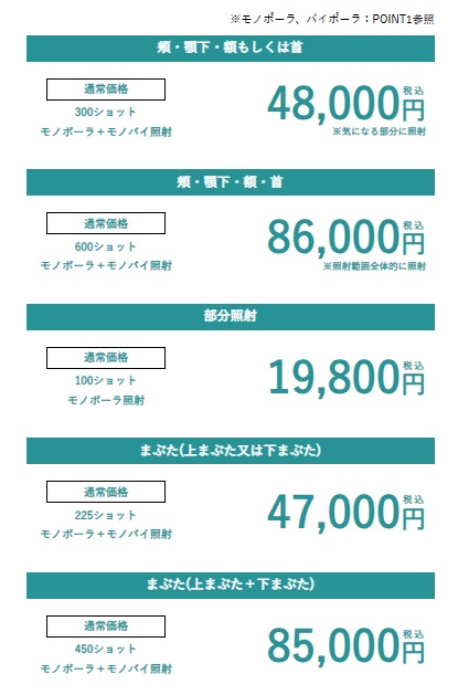 湘南美容　デンシティ　価格